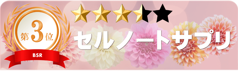 セルノート