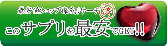 公式サイトを見る