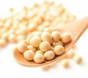 バストアップ成分：エクオール（大豆イソフラボン）